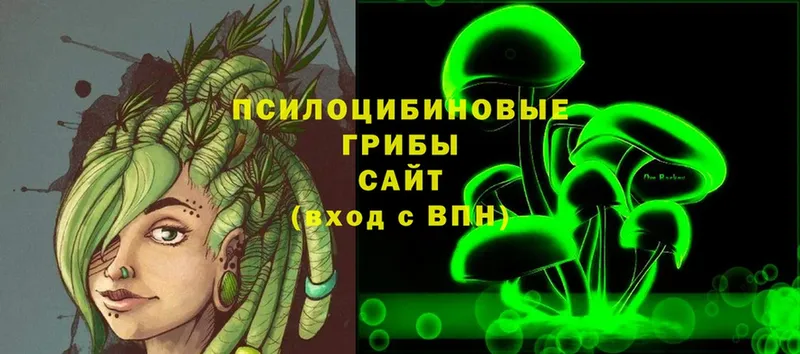 Псилоцибиновые грибы Psilocybine cubensis  Электрогорск 